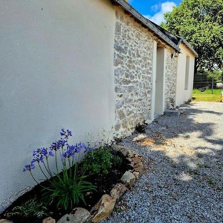 Gite De Felicite, Calme Et Nature Savenay Exterior photo